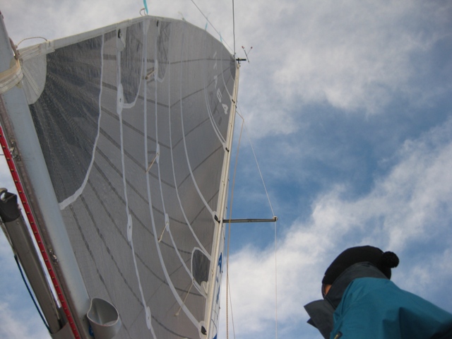 [Immagine: 20117294653_IMG_1222.JPG]